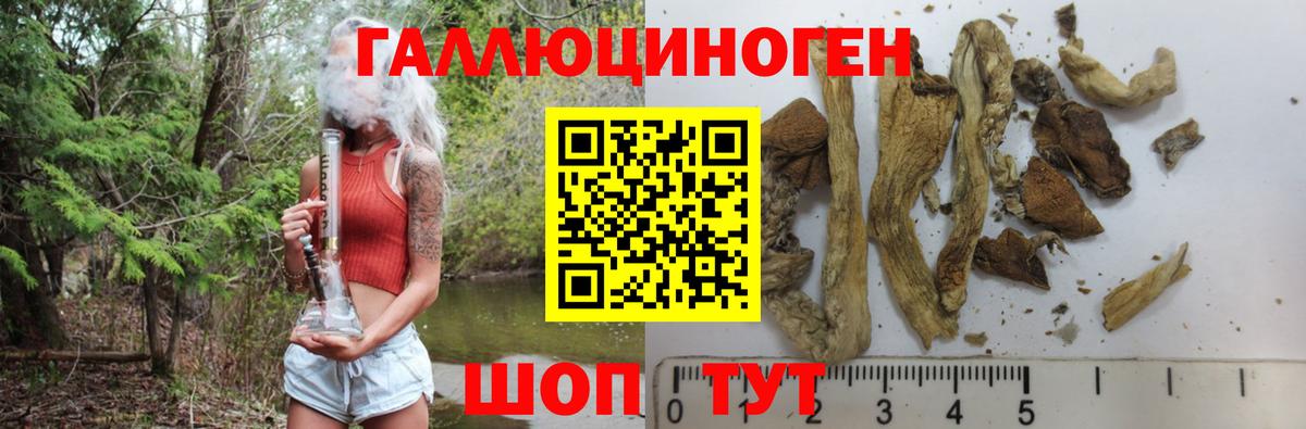 Псилоцибиновые грибы прущие грибы  сколько стоит  Шахты  Вход с VPN 